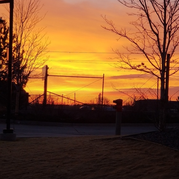 Meet your Posher, Anne - Picture 2 of 2